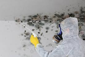 Best Air Quality Testing for Mold Spores  in Clinton, WI